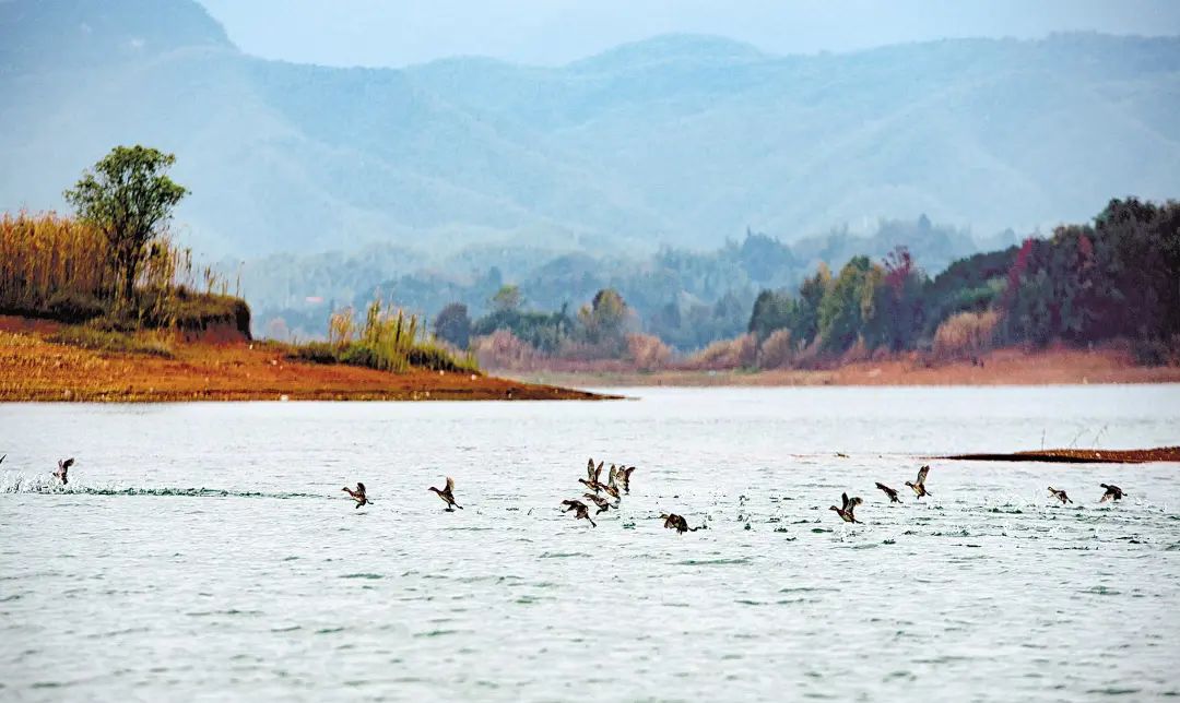 這個(gè)事情不做，砂石礦山企業(yè)不再批新證！